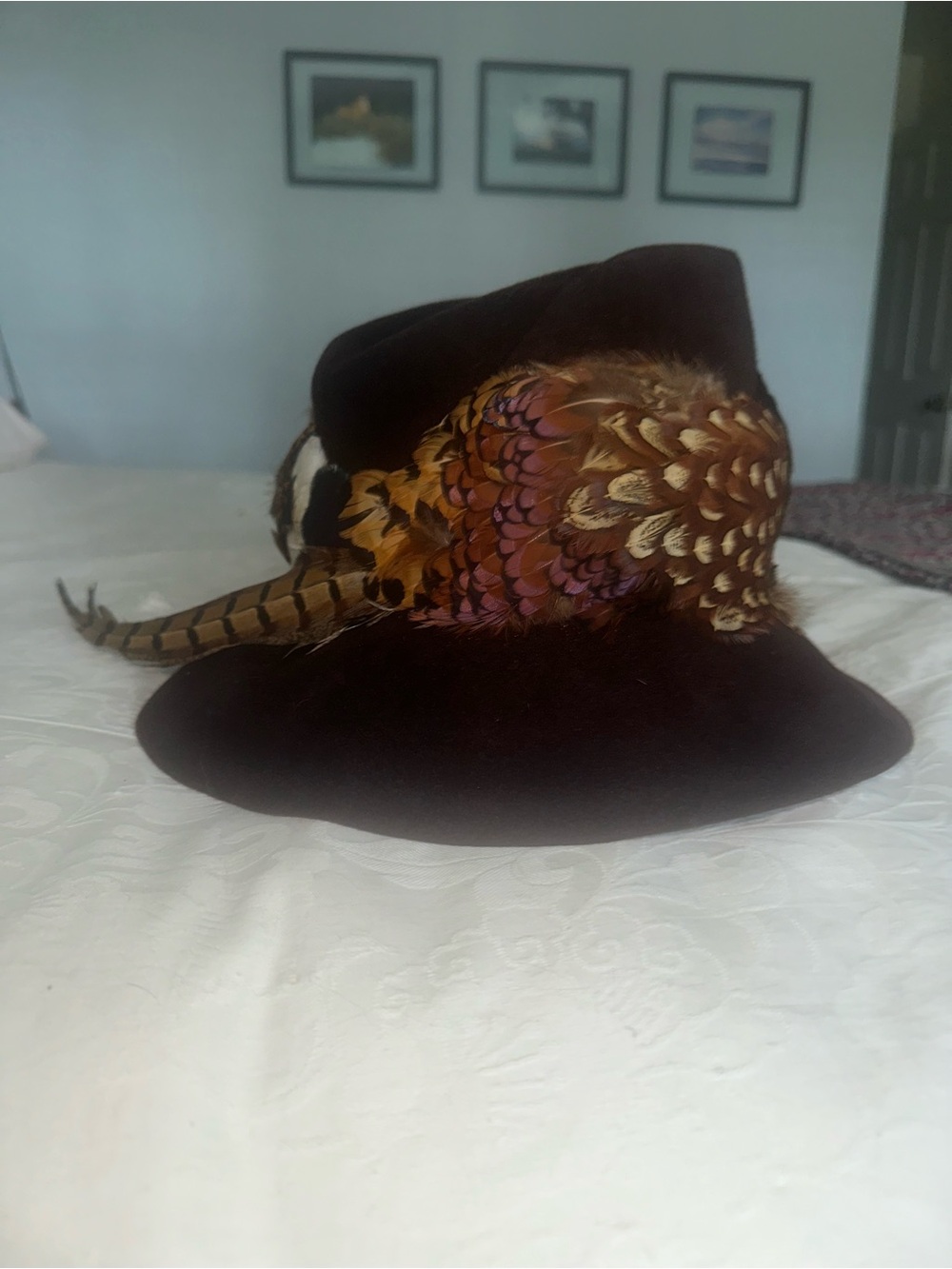 Dark Brown Felt Fedora Hat with Decorative Feathers
